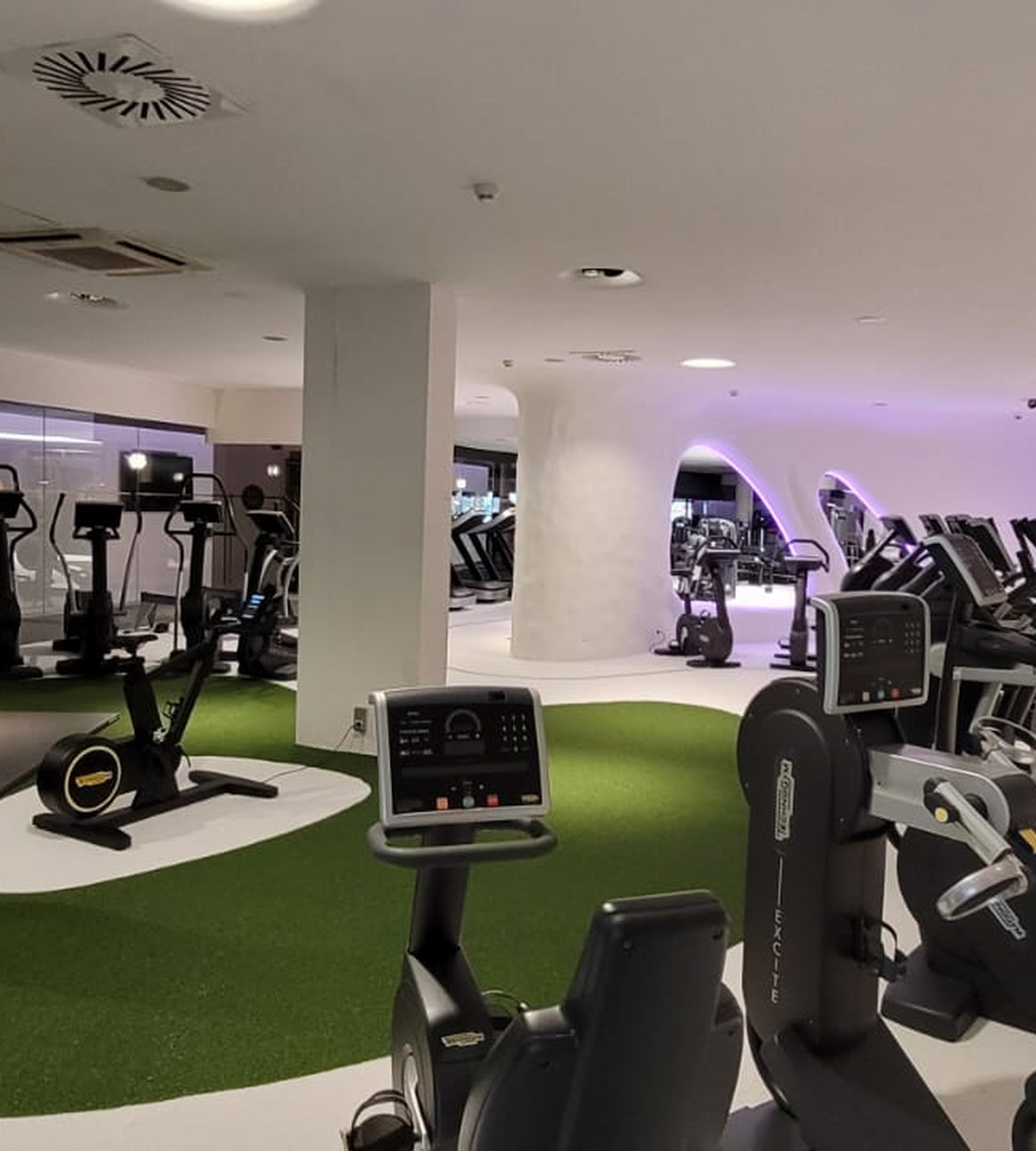 Artificial grass for fitness areas