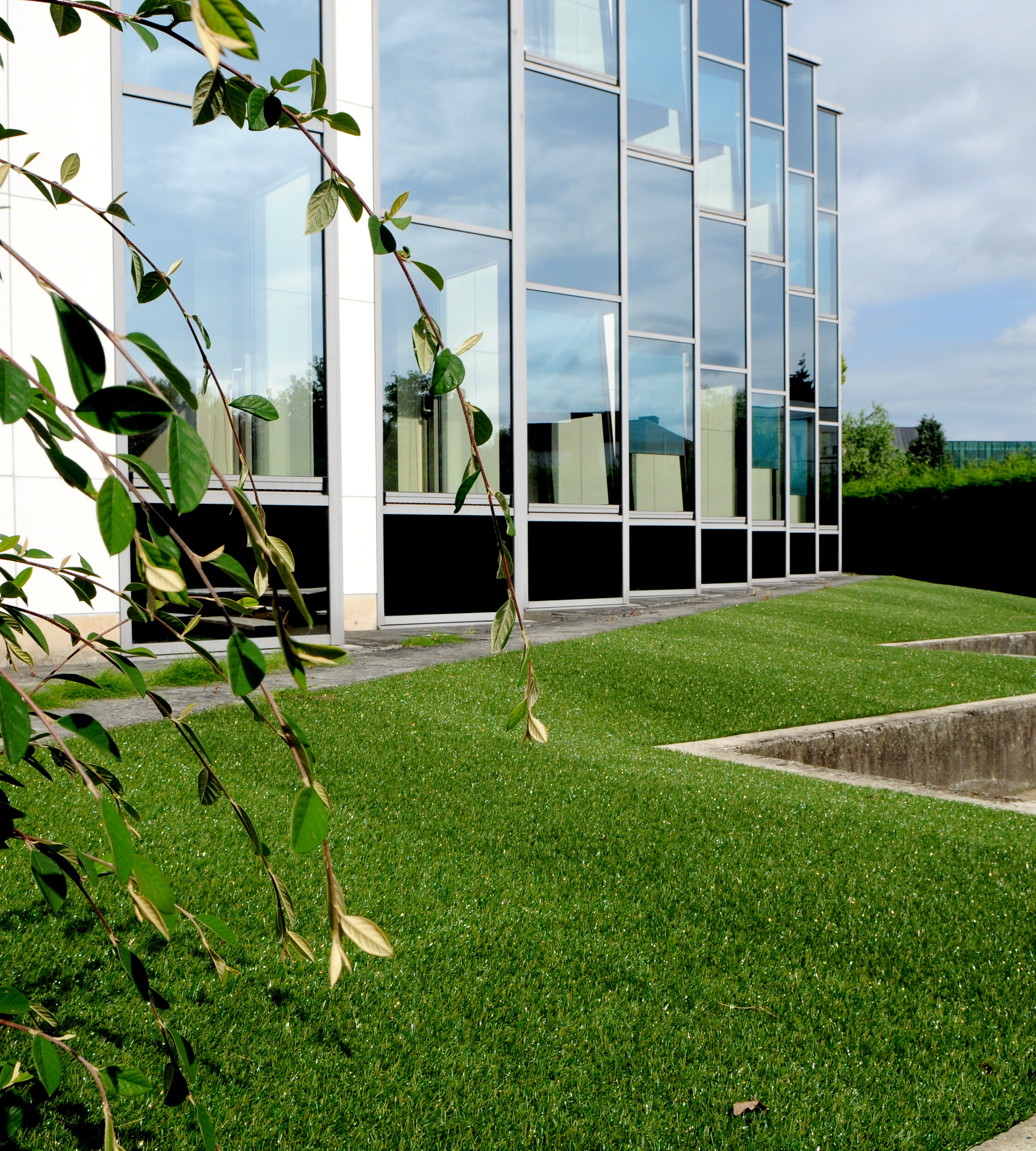 Artificial grass for a beautiful garden