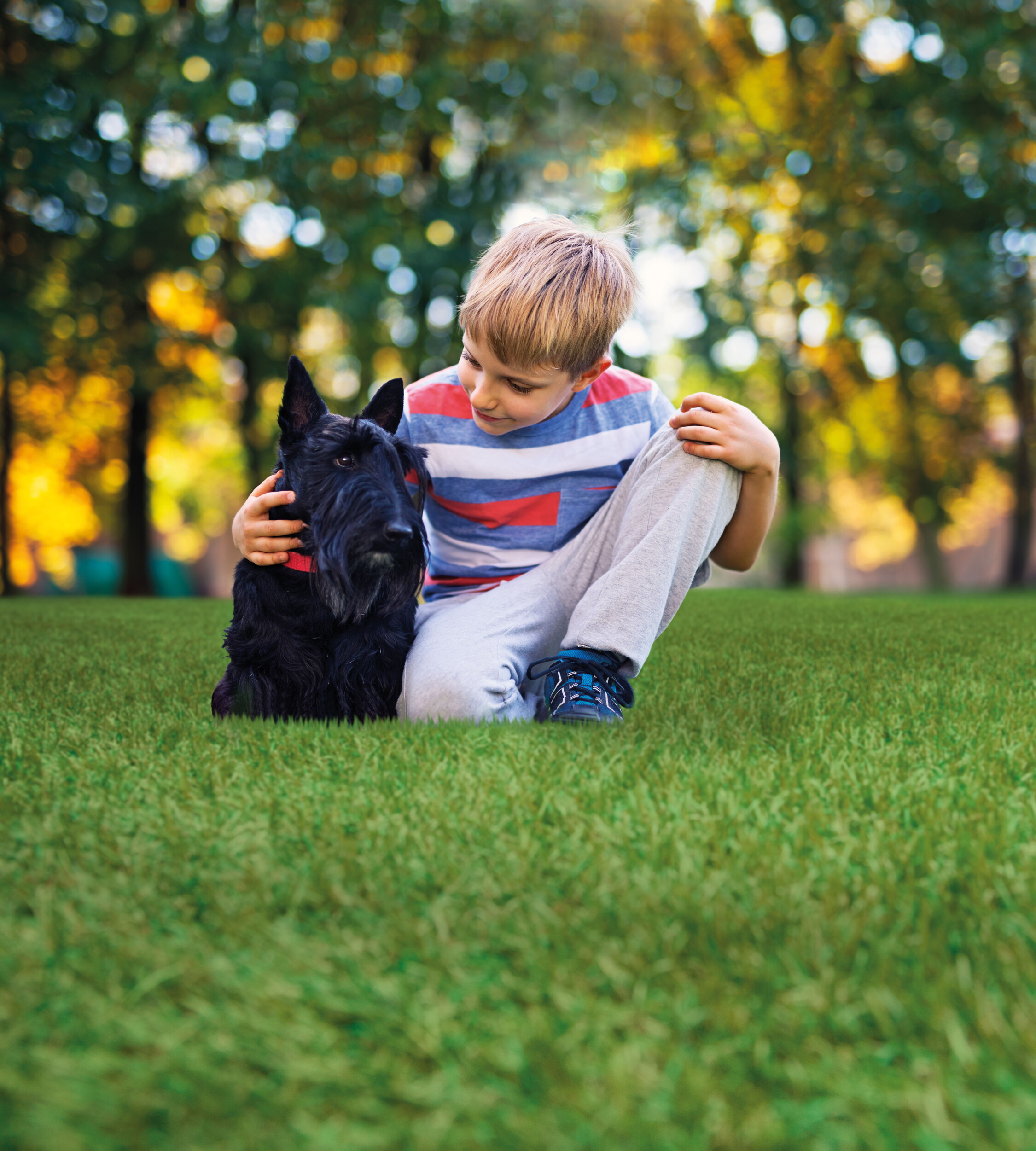 Pet-friendly artificial grass
