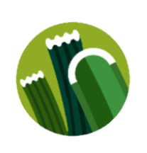Optimized yarn combination for realistic, durable artificial grass